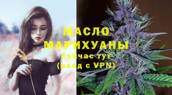 индика Козельск