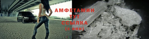 ПСИЛОЦИБИНОВЫЕ ГРИБЫ Кодинск